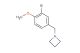 1-(3-bromo-4-methoxybenzyl)azetidine