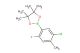 2-(5-chloro-2-fluoro-4-methylphenyl)-4,4,5,5-tetramethyl-1,3,2-dioxaborolane