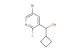 (5-bromo-2-fluoropyridin-3-yl)(cyclobutyl)methanol