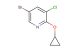 5-bromo-3-chloro-2-cyclopropoxypyridine