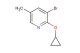 3-bromo-2-cyclopropoxy-5-methylpyridine