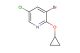 3-bromo-5-chloro-2-cyclopropoxypyridine