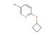 5-bromo-2-cyclobutoxypyridine