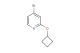 4-bromo-2-cyclobutoxypyridine