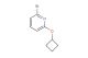 2-bromo-6-cyclobutoxypyridine
