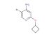 5-bromo-2-cyclobutoxypyridin-4-amine