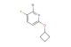 2-bromo-6-cyclobutoxy-3-fluoropyridine