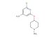 2-chloro-6-((1-methylpiperidin-4-yl)oxy)pyridin-4-amine