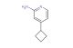 4-cyclobutylpyridin-2-amine