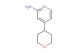 4-(tetrahydro-2H-pyran-4-yl)pyridin-2-amine