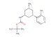 tert-butyl ((1R,3S,5R)-3-(3-aminopyridin-4-yl)-5-methylcyclohexyl)carbamate