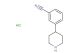 3-(piperidin-4-yl)benzonitrile hydrochloride