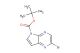 tert-butyl 2-bromo-5H-pyrrolo[2,3-b]pyrazine-5-carboxylate