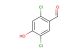2,5-dichloro-4-hydroxybenzaldehyde