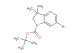 tert-butyl 6-bromo-3,3-dimethyl-2,3-dihydro-1H-pyrrolo[3,2-b]pyridine-1-carboxylate