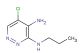 5-chloro-N3-propylpyridazine-3,4-diamine