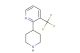 2-(piperidin-4-yl)-3-(trifluoromethyl)pyridine
