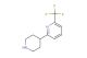 2-(piperidin-4-yl)-6-(trifluoromethyl)pyridine