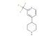 4-(piperidin-4-yl)-2-(trifluoromethyl)pyridine