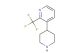3-(piperidin-4-yl)-2-(trifluoromethyl)pyridine