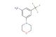 3-morpholino-5-(trifluoromethyl)aniline