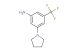 3-(pyrrolidin-1-yl)-5-(trifluoromethyl)aniline
