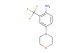 4-morpholino-2-(trifluoromethyl)aniline