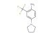 4-(pyrrolidin-1-yl)-2-(trifluoromethyl)aniline