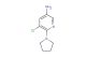 5-chloro-6-(pyrrolidin-1-yl)pyridin-3-amine