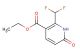 ethyl 2-(difluoromethyl)-6-oxo-1,6-dihydropyridine-3-carboxylate