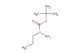 tert-butyl 1-propylhydrazinecarboxylate