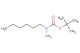 tert-butyl 1-hexylhydrazinecarboxylate