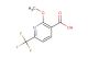 2-methoxy-6-(trifluoromethyl)nicotinic acid