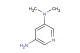 N3,N3-dimethylpyridine-3,5-diamine