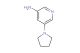 5-(pyrrolidin-1-yl)pyridin-3-amine