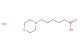 6-morpholinohexanoic acid hydrochloride