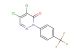 4,5-dichloro-2-(4-(trifluoromethyl)phenyl)pyridazin-3(2H)-one