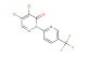 4,5-dichloro-2-(5-(trifluoromethyl)pyridin-2-yl)pyridazin-3(2H)-one