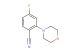 4-fluoro-2-morpholinobenzonitrile