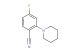 4-fluoro-2-(piperidin-1-yl)benzonitrile