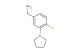 (4-fluoro-3-(pyrrolidin-1-yl)phenyl)methanamine