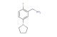 (2-fluoro-5-(pyrrolidin-1-yl)phenyl)methanamine