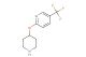 2-(piperidin-4-yloxy)-5-(trifluoromethyl)pyridine
