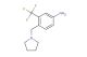 4-(pyrrolidin-1-ylmethyl)-3-(trifluoromethyl)aniline