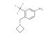 4-(azetidin-1-ylmethyl)-3-(trifluoromethyl)aniline