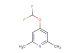 4-(difluoromethoxy)-2,6-dimethylpyridine