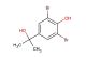 2,6-dibromo-4-(2-hydroxypropan-2-yl)phenol