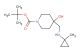 tert-butyl 4-hydroxy-4-(((1-methylcyclopropyl)amino)methyl)piperidine-1-carboxylate