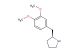 (S)-2-(3,4-dimethoxybenzyl)pyrrolidine