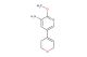 5-(3,6-dihydro-2H-pyran-4-yl)-2-methoxypyridin-3-amine